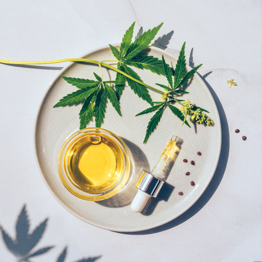 Understanding the difference between CBD and THC - discountcbd.co